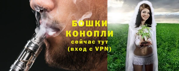 ГАЛЛЮЦИНОГЕННЫЕ ГРИБЫ Арсеньев